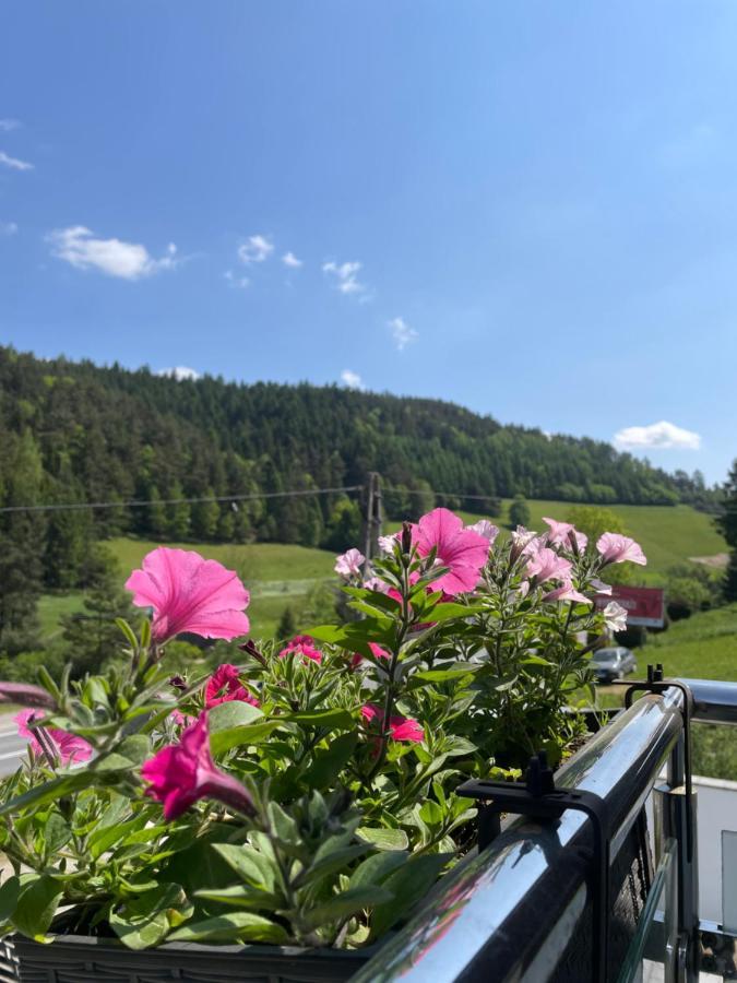 Apartament 7.0 Roztoka Wielka Exteriör bild